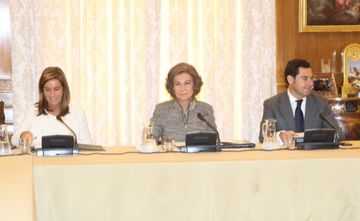 Foto de la reuni&oacute;n del Consejo del Real Patronato sobre Discapacidad