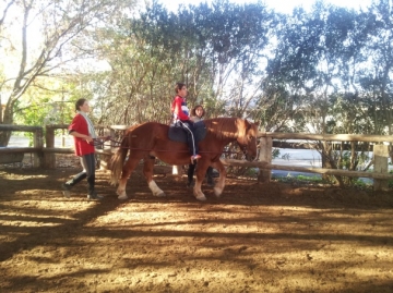 Un participante monta a caballo durante una sesión de hipoterapia
