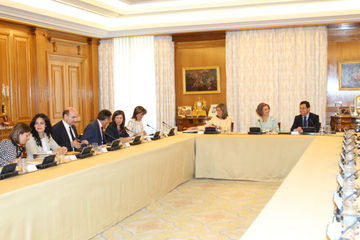 Foto de la 23&ordf; Reuni&oacute;n del Consejo del Real Patronato sobre Discapacidad 